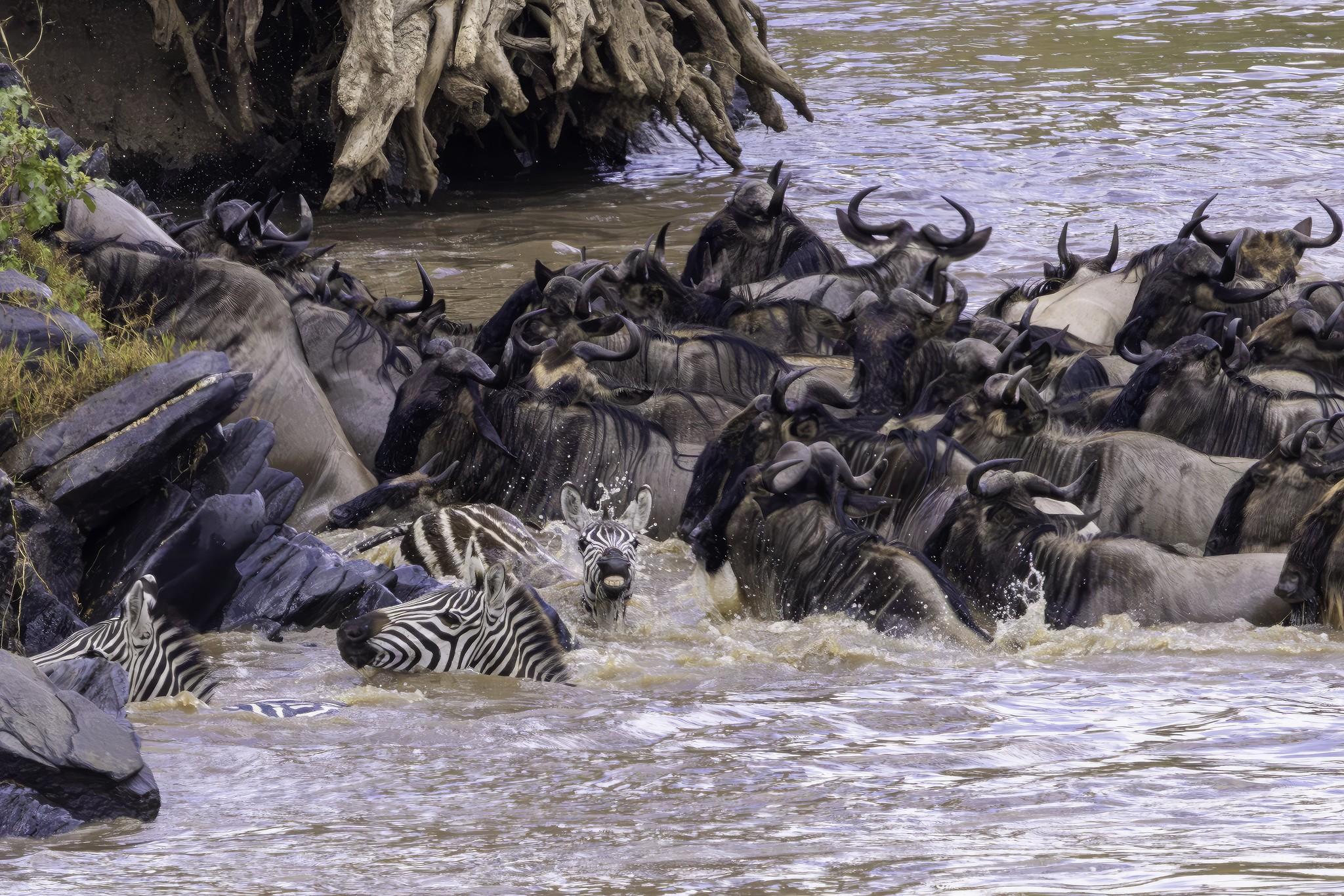 6 Day Northern Serengeti Migration Safari